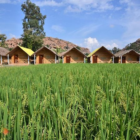 Hotel Dream Mango Hampi Zewnętrze zdjęcie